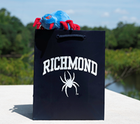 Jardine Gift Bag 8x10 with Richmond Mascot in Navy